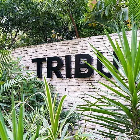 Jungle Apartment Tribu Luum Zama